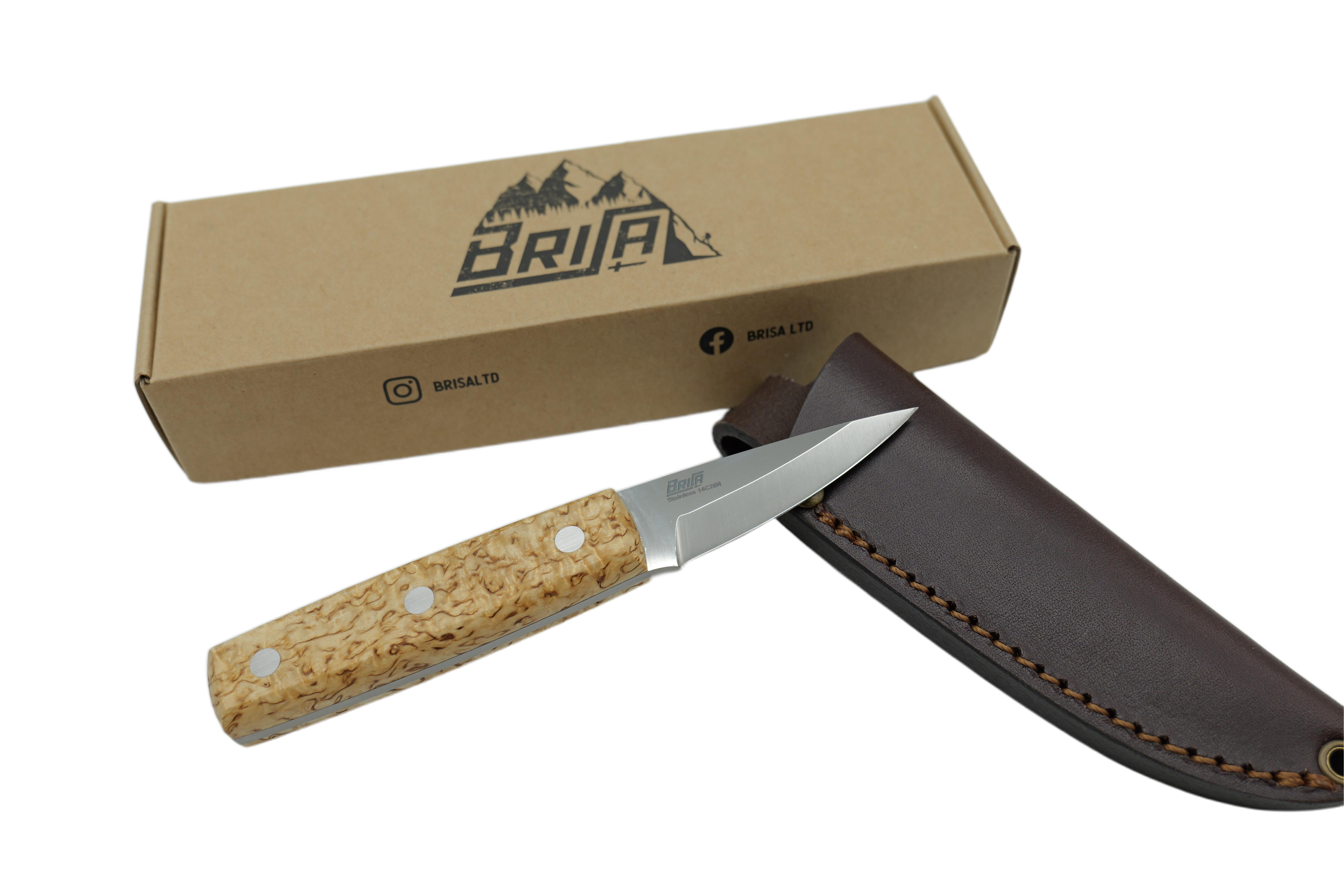 Brisa Crafter 70 - Curly Birch